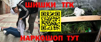 шишки Жуковский