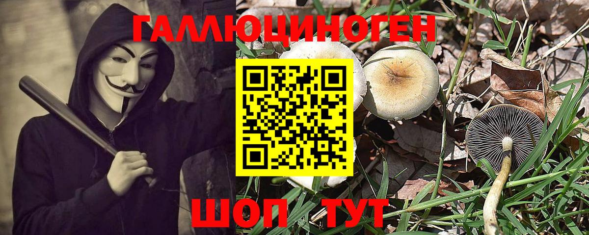 Малоярославец  Псилоцибиновые грибы Magic Shrooms  Вход с VPN  Галлюциногенные грибы GOLDEN TEACHER 