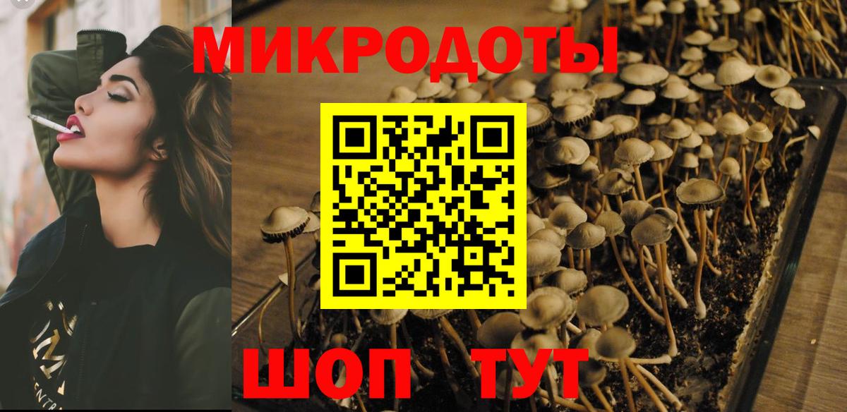 Галлюциногенные грибы Psilocybine cubensis Малоярославец